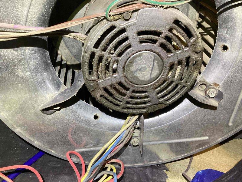 Performed diagnostic service on 15+ year old natural gas furnace reported for motor noise. Inspection revealed significant dust accumulation on the blower motor assembly, with particular buildup on the motor housing and ventilation slots. Cleaned blower motor components and verified proper electrical connections to resolve the noise issue and restore normal operation.