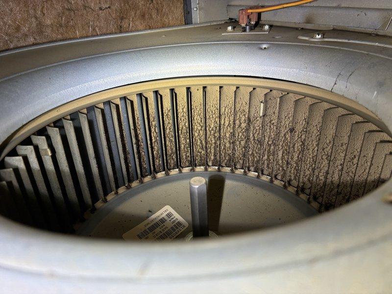 Performed annual maintenance service on 1-year-old heating system. Inspection revealed significant dust and debris accumulation on blower wheel assembly. Cleaned blower components to restore proper airflow and system efficiency.