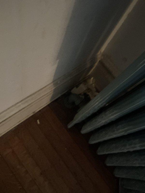 Conducted a free estimate to assess installation requirements for a bypass loop around an existing radiator. Inspected the radiator location and accessed the crawlspace to evaluate piping routes. Documented current plumbing configuration and gathered necessary measurements to prepare quote for both the bypass installation and complete radiator replacement as requested.
