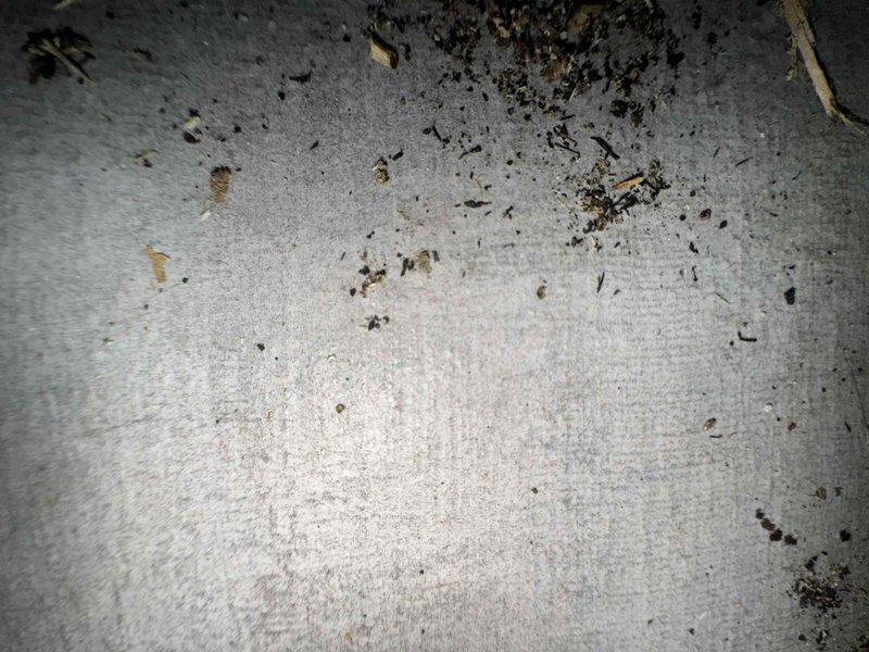 Completed comprehensive duct cleaning service of HVAC system with 14 vents, removing significant dust and debris accumulation as documented in photo evidence. Inspection revealed contamination in baseboard heating unit with visible particulate matter and compromised access panel, which was properly cleaned and secured to restore optimal system functionality and improve indoor air quality.