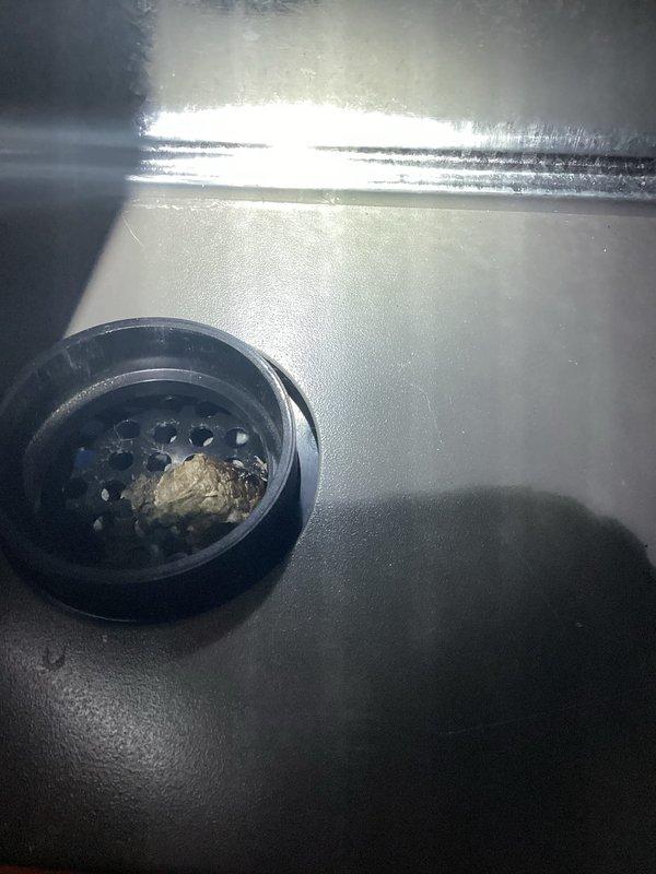 Performed annual tune-up on 1-year-old Lennox furnace system. Cleaned debris from condensate drain to prevent blockage and ensure proper drainage. Inspected all ventilation components, PVC piping, and associated HVAC equipment for proper operation and found system functioning within normal parameters.