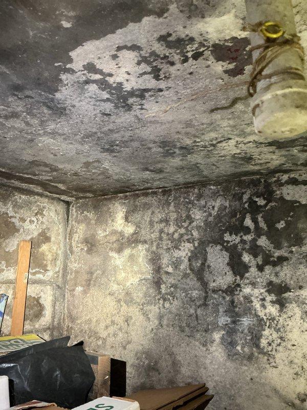 Conducted comprehensive inspection of main water line from street to residence to diagnose low water pressure issue. Identified significant corrosion in existing copper line connection and extensive moisture damage with mold growth in utility area. Provided estimate for complete replacement of main water line to resolve persistent pressure problems and prevent further structural deterioration.