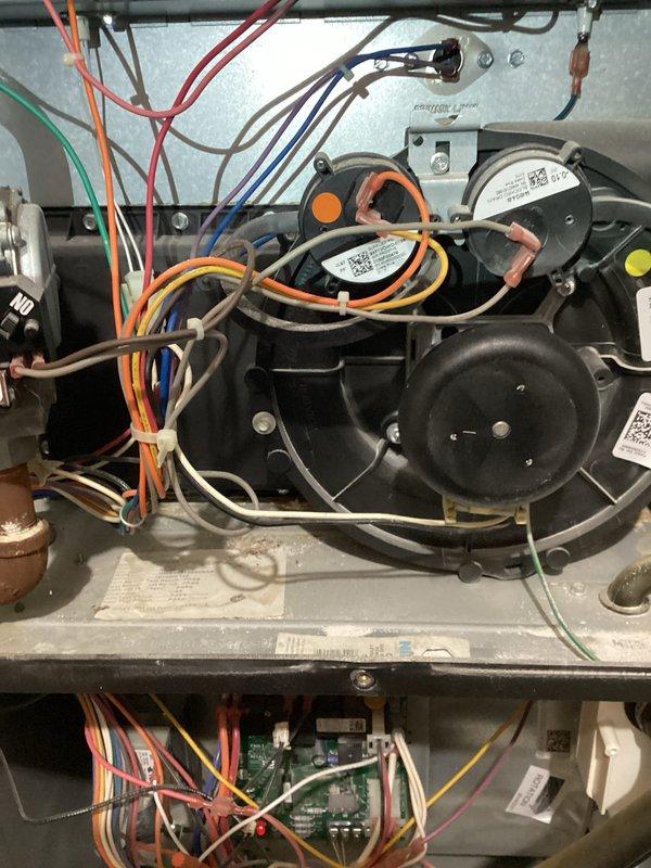 Diagnosed 9-year-old gas furnace with no heat issue where blower was operational but heating would not engage. Upon inspection of control board and electrical connections, identified fault in ignition sequence and repaired connection issue to restore proper heating function. Unit now operating according to manufacturer specifications.