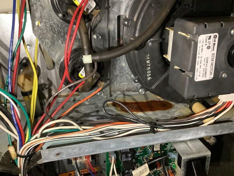 Responded to service call for furnace making abnormal noise. Upon inspection, found water damage and rust on blower motor housing causing vibration against the frame. Replaced ECM motor and inspected control board for potential electrical issues, confirming proper operation after installation.