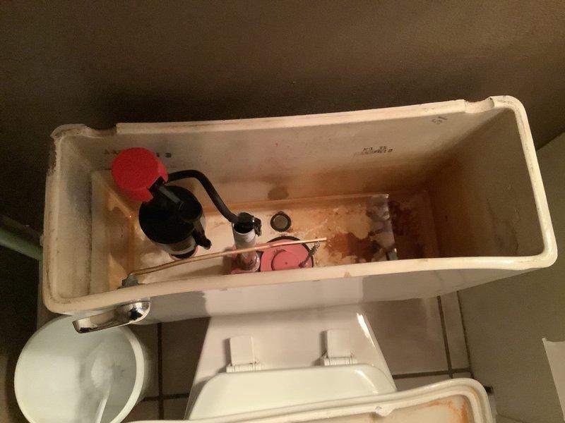 Performed diagnostic inspection on two toilets experiencing continuous running issues. Identified worn flush valves and deteriorated fill mechanisms with significant mineral buildup and corrosion in tank components. Provided customer with estimate for replacement of toilet handles, fill valves, and flush valves to resolve the running water problems.