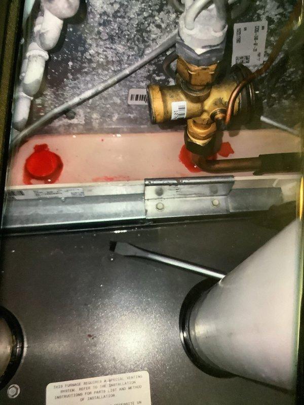 Performed scheduled heating maintenance service inspecting blower wheel assembly and checking brass valve fittings on the hydronic system. Documented condition of squirrel cage fan which showed normal wear but remains in functional condition, and verified proper connection of brass valve to PVC piping with no signs of leakage or deterioration.