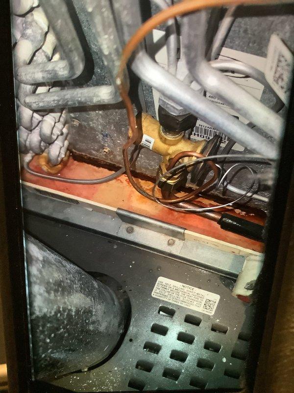 Performed routine maintenance on 7-year-old MVP heating system. Inspected interior components including heat exchanger, electrical control panel, and wiring connections. Noted proper operation of all components with no signs of significant corrosion or electrical issues.