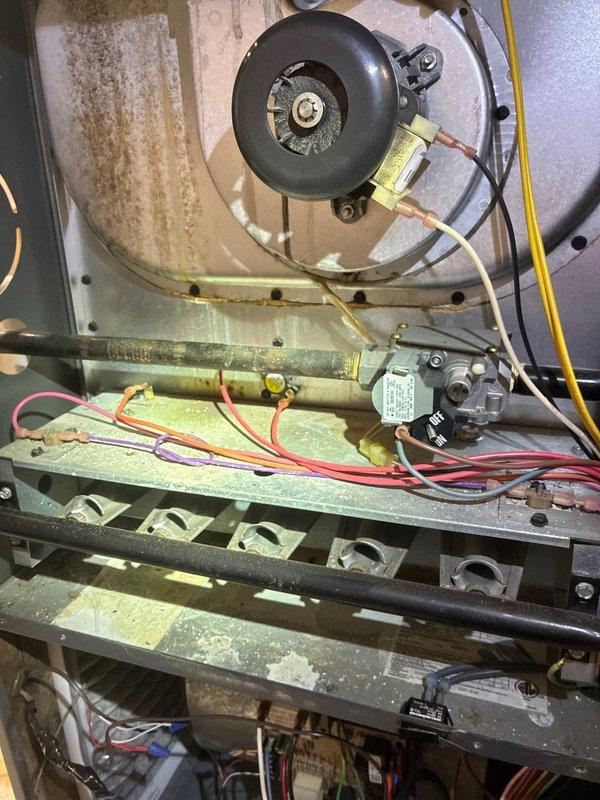 Performed comprehensive maintenance on 10+ year old furnace. Inspected and cleaned flame sensor electrode showing signs of carbon buildup. Examined blower assembly and internal components, noting expected oxidation and wear consistent with unit age, while verifying proper wire connections to gas valve and controls remain secure.
