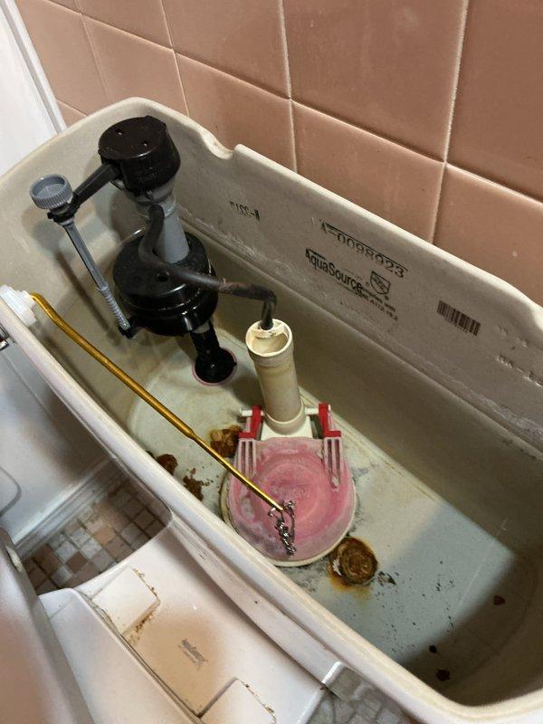Responded to service call for multiple plumbing issues. Inspected kitchen sink P-trap which showed signs of leakage with visible water damage to cabinet floor and walls. Also examined bathroom toilet with mineral buildup in tank and worn flapper valve causing leakage, and addressed clogged bathroom sink requiring new faucet installation.