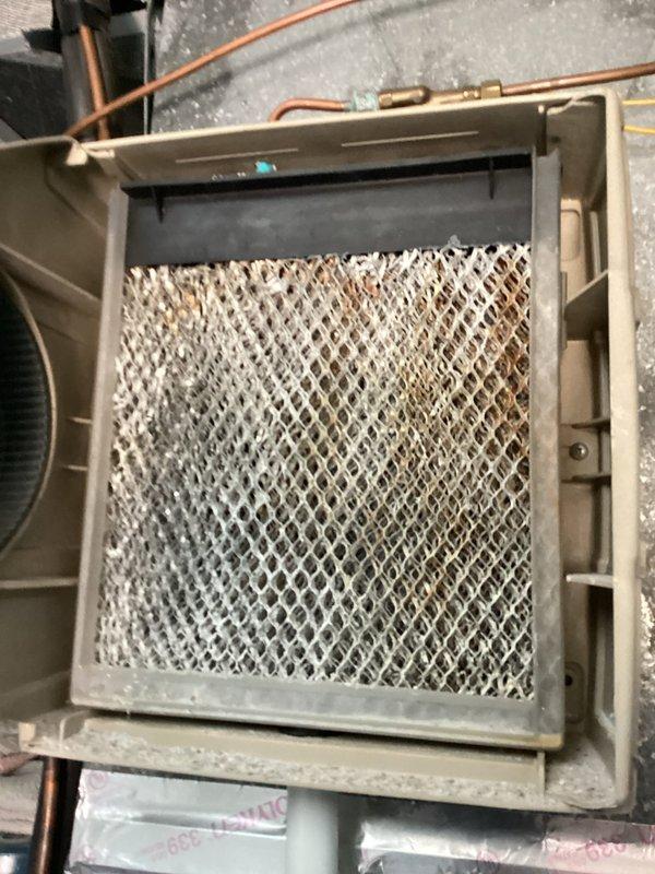 Performed routine MVP heating maintenance service on a Lennox furnace system. Inspected unit and discovered heavily soiled filter with substantial dust accumulation requiring immediate replacement. System was otherwise in good working condition with properly connected PVC venting and no visible damage to the main unit.