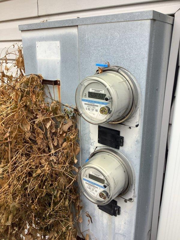 Inspected electrical service panel and meter installation in response to recurring power strip issues that damaged customer's electronic devices. Found disorganized internal wiring in the panel with insufficient wire management, and significant dead vegetation accumulating against the exterior meter box which could potentially cause access issues. Resolved tripping issue by identifying and replacing a faulty receptacle that was causing the power strip to malfunction.