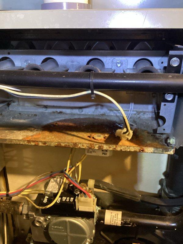 Performed routine maintenance on 13-year-old furnace as part of MVP recurring service. Inspected interior components showing significant rust and corrosion on metal tray. Examined and verified proper connection of control panel wiring harness containing multiple colored wires connected to terminal block.