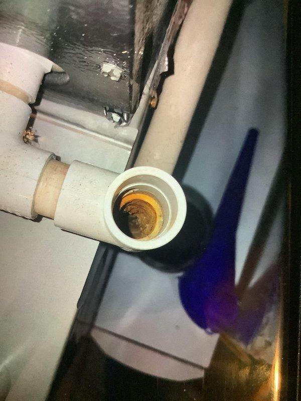 Performed scheduled maintenance on MVP furnace. Identified significant corrosion and mineral buildup in condensate drain piping requiring attention. Utilized service tool to complete necessary adjustments to ensure proper system operation.