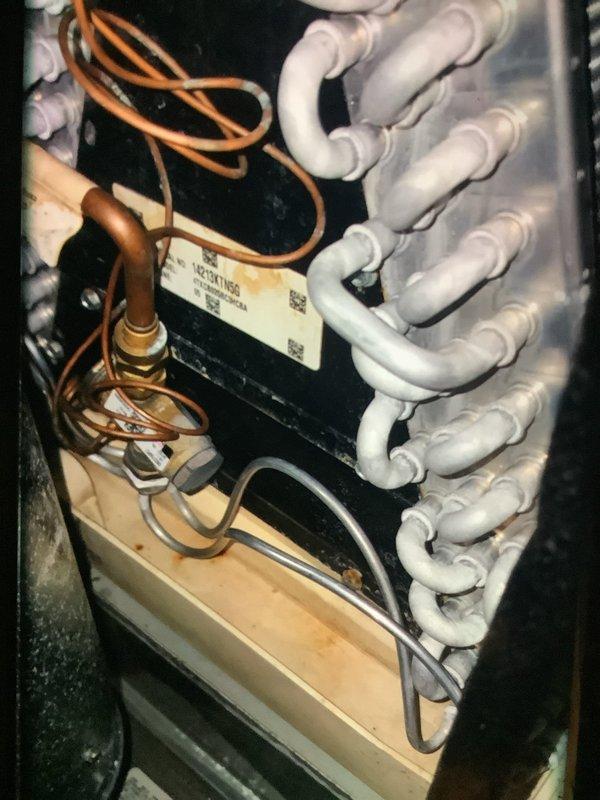 Performed comprehensive furnace tune-up including electrical system diagnostics with multimeter testing showing -3.370 reading on control board components. Inspected evaporator coil assembly which displayed normal condition with some mineral deposits in condensate pan. All refrigerant lines, electrical connections, and fan motor assembly were examined and verified to be operating within specifications.