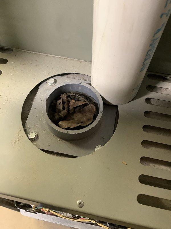 Responded to service call for furnace repair with suspected ignitor failure. Upon inspection, discovered significant debris and dirt accumulation in the combustion area. Cleaned accumulated debris, inspected electrical connections and wiring, and replaced faulty ignitor to restore proper furnace operation.