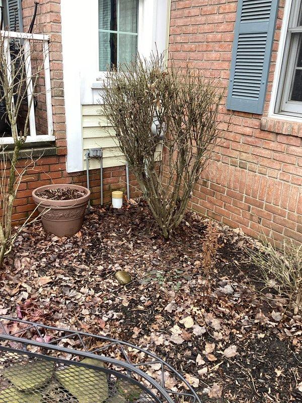 Responded to service call regarding electrical panel replacement. Inspected existing meter housing on brick exterior which showed weathering and paint deterioration. Documented condition of utility connection and surrounding area prior to beginning replacement work.