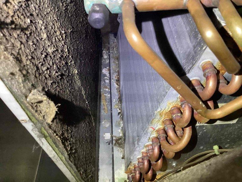Diagnosed and serviced A/C unit that was failing to engage consistently and producing excessive noise. Inspection revealed significant dust accumulation on evaporator coils and signs of oxidation on copper tubing, which was restricting proper airflow and causing system strain. Performed thorough cleaning of components and verified proper operation after service.