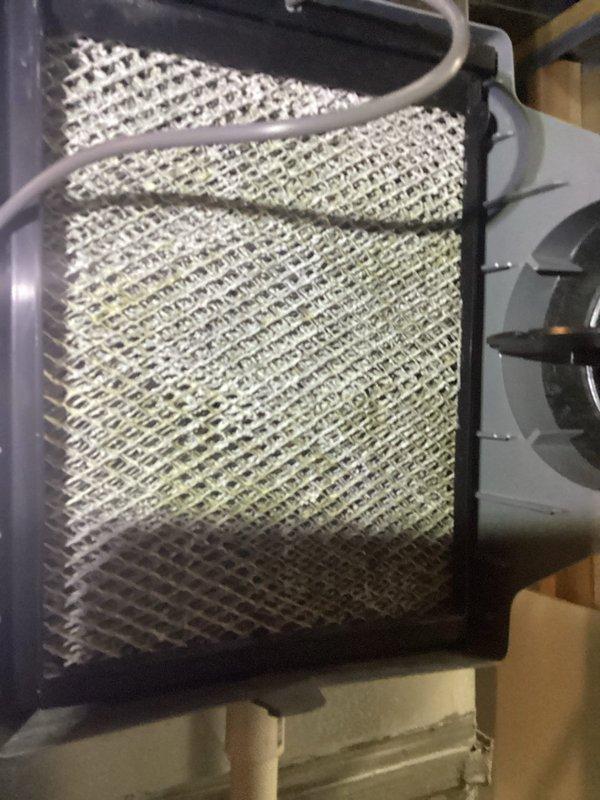 Performed MVP heating tune-up including inspection of air filter/evaporator coil which showed some dust accumulation on the mesh surface. Conducted electrical system evaluation with focus on control board connections and wiring integrity, testing circuit functionality with diagnostic tool to ensure proper operation.