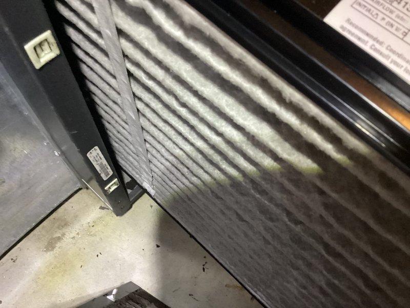 Performed annual furnace maintenance on a Lennox HVAC system with Healthy Climate accessory. Inspected and cleaned air filter, verified proper operation of all components, and confirmed system is functioning correctly. System appears to be in normal working condition with no visible damage or leaks detected.