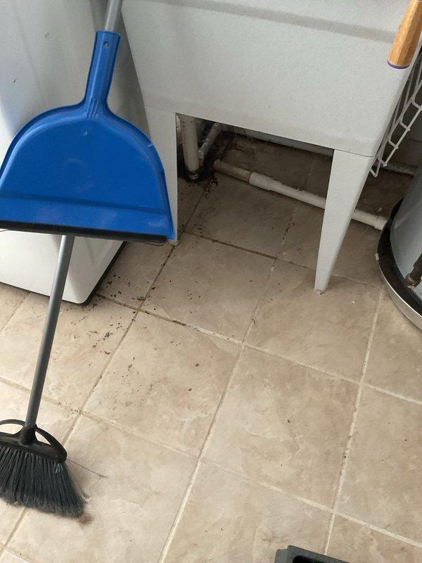 Successfully cleared clogged laundry drain in basement using professional drain cleaning equipment. Service restored proper drainage functionality to the utility area containing laundry basin and associated plumbing fixtures. Completed inspection of bathroom toilet to ensure no additional plumbing issues were present.