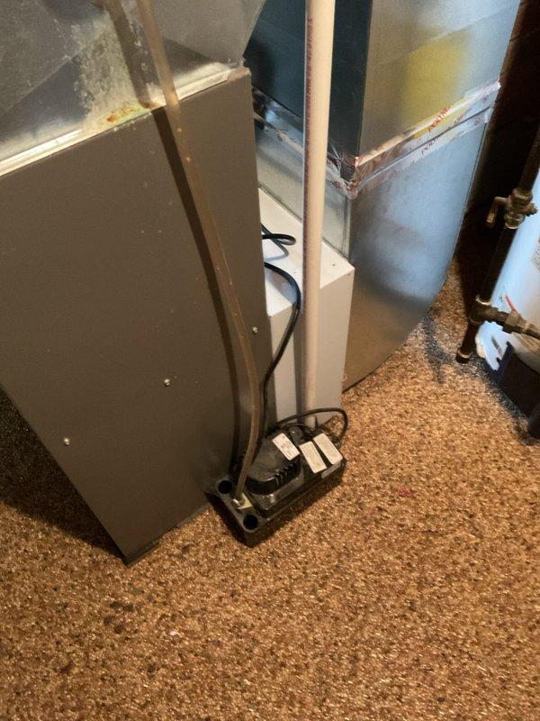 Performed scheduled maintenance on a dual-unit HVAC system, including installation of a surge protector, cleaning of the condensate pump basin, and application of a gel tab. Inspected control board functionality with all electrical connections verified and proper LED indicator operation confirmed. No additional parts were required beyond standard truck stock items.