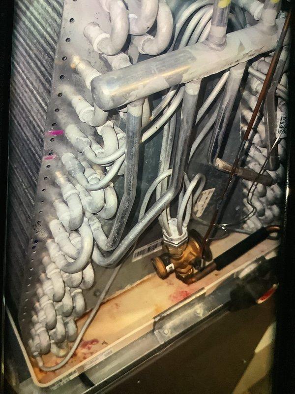 Performed scheduled MVP furnace maintenance with confirmed trip. Inspected air filter component and found normal working condition with no visible damage. Observed heat exchanger coils with notable frost accumulation and documented drain pan showing signs of rust and corrosion in the collection tray, which may require future attention.