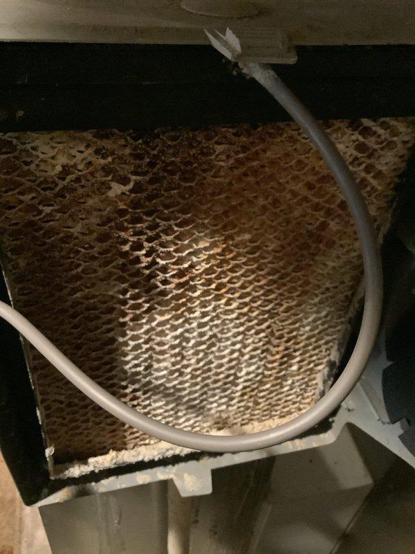Performed routine maintenance on 10-year-old Lennox furnace. Inspected evaporator coil showing signs of dirt accumulation/oxidation and verified proper condensate drain line operation. System appears operational with all components properly connected, though coil may require cleaning at next service interval.