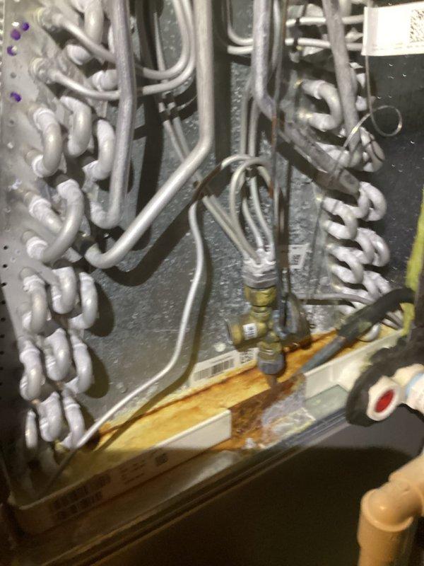 Performed comprehensive heating maintenance and AC tune-up, including inspection of control system circuit board connections and heating elements. Identified and documented water damage beneath refrigerant coils, checked valve integrity, and verified proper operation of all system components.