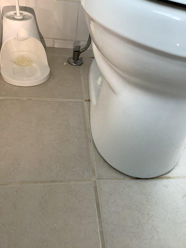 Identified and repaired toilet leak that was previously overlooked, which was causing water to drip into basement electrical box. Inspected toilet base and supply line connection, replaced faulty wax ring and tightened loose fittings to ensure proper seal and eliminate water seepage.