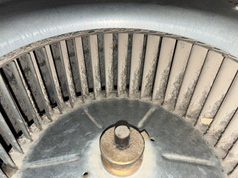 Diagnosed 20-year-old furnace with no heat and loud operational noise. Upon inspection, found severely dust-laden blower wheel causing restricted airflow and noise issues. Performed comprehensive cleaning of blower assembly and verified proper system operation, restoring heat functionality and eliminating excessive noise.