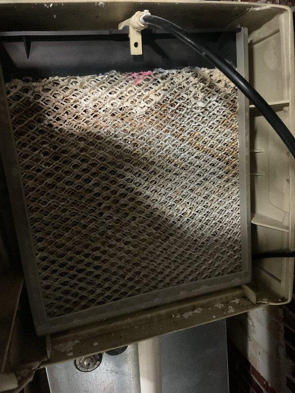 Performed scheduled MVP furnace maintenance service. Inspected system and found air filter heavily soiled with significant dust accumulation requiring replacement. Examined condensate drain assembly and verified proper operation of the drain pan and discharge components. All maintenance completed according to manufacturer specifications.
