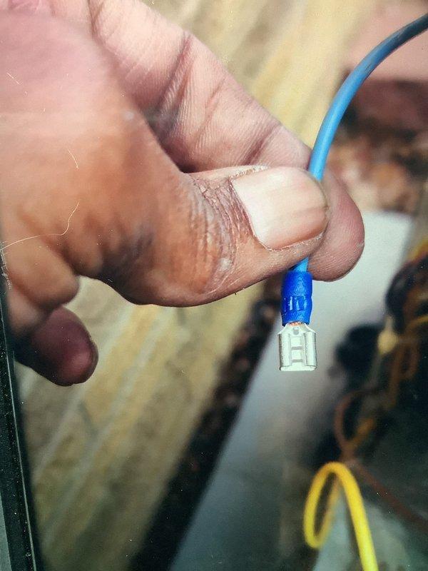 Performed routine AC tune-up service including inspection of electrical connections and evaporator coil. Verified proper wire terminal connections and examined the condition of the evaporator coil assembly, ensuring optimal system operation and airflow.