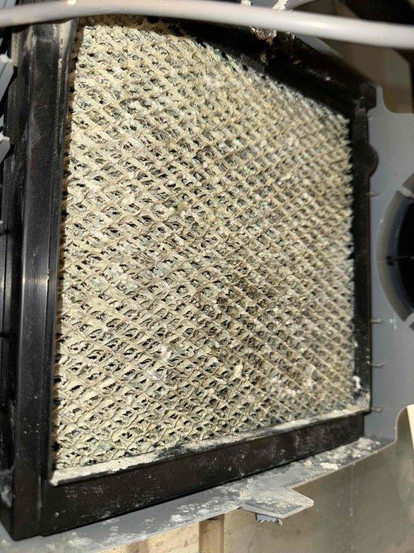 Performed routine maintenance on 7-year-old gas furnace. Inspected internal components including electrical connections and wiring harness which appeared in good condition. Examined air filter which showed significant dust accumulation and debris buildup requiring replacement to restore proper system airflow and efficiency.