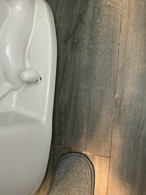 Conducted sewer line inspection in 1973 home with reported basement water intrusion despite previous waterproofing efforts. Examined bathroom fixtures and surrounding areas for potential connection to water issues; verified proper toilet installation and checked for any leaks that might contribute to basement moisture problems.