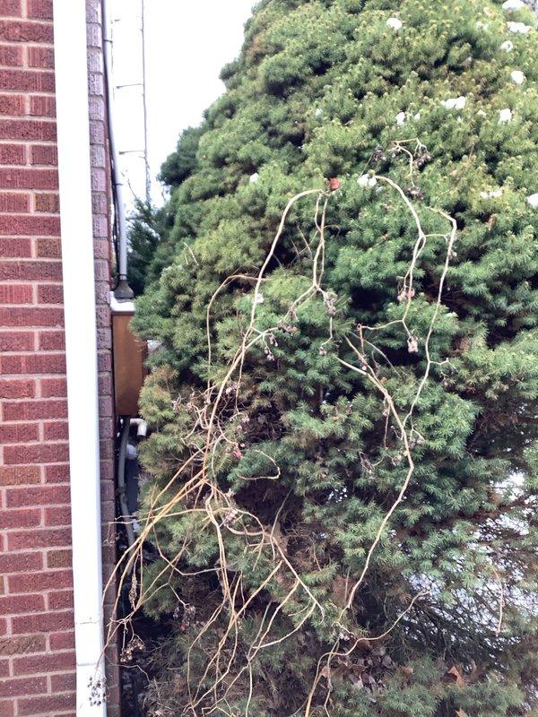 Responded to a no power call following a storm where customer experienced partial power initially before complete loss. Upon inspection of the electrical panel, identified the main disconnect switch as the source of failure. Replaced faulty main breaker and restored full power to the residence.