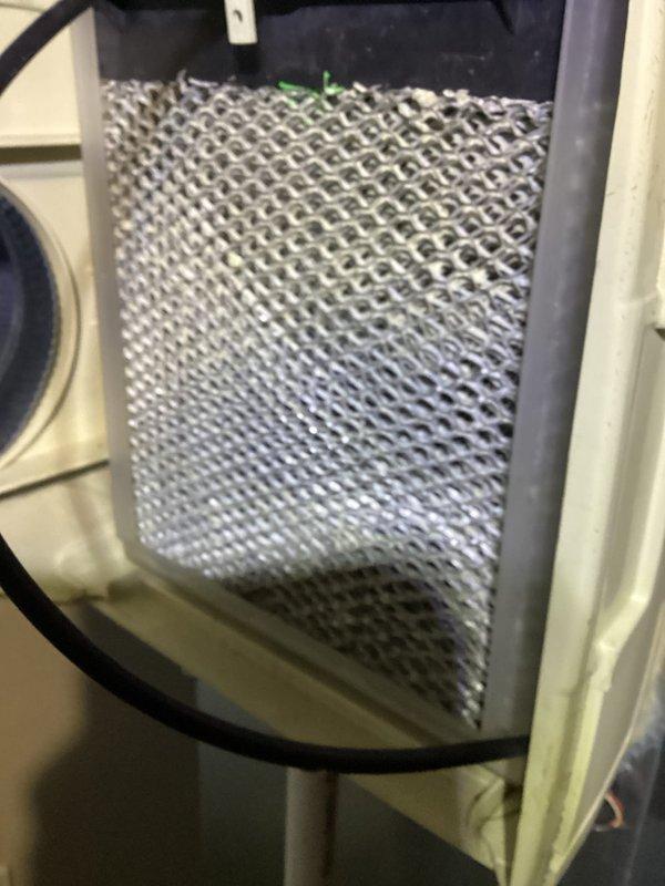 Performed comprehensive cooling system maintenance per membership agreement. Inspected and replaced dirty air filter with new OEM filter. Cleaned and examined blower motor assembly, noting minor oxidation on lower housing panel that does not currently affect system performance.
