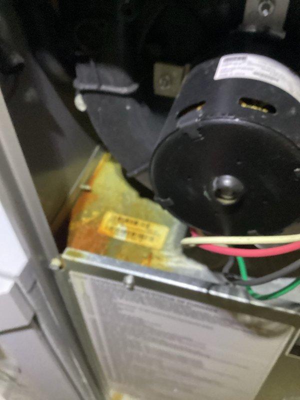 Performed comprehensive cooling system maintenance per membership agreement. Inspected and replaced dirty air filter with new OEM filter. Cleaned and examined blower motor assembly, noting minor oxidation on lower housing panel that does not currently affect system performance.