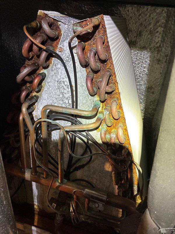 Performed comprehensive furnace tune-up including electrical testing with clamp meter (reading 39.93) of capacitor and associated components. Inspection revealed significant oxidation and corrosion on evaporator coil assembly, with copper tubing showing deterioration and rust formation on the metal framework. Customer opted to renew MVP service agreement.