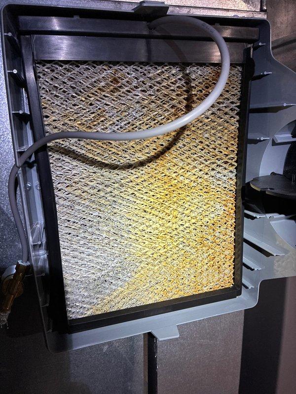 Performed AC tune-up with inspection of ductwork for potential cleaning requirements. Observed significant dust accumulation on blower wheel assembly and air filter showing substantial discoloration with uneven soiling patterns, indicating restricted airflow and reduced system efficiency.