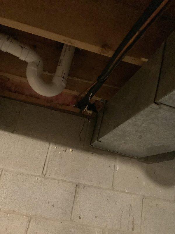 # HVAC Estimate - Replacement Summary

Conducted on-site assessment for replacement estimate of 28-year-old furnace system. Evaluated existing equipment and basement utility area infrastructure, including current venting configuration, electrical connections, and available clearances for new equipment installation. Documented existing PVC drainage system, exposed ceiling joists, electrical junction boxes, and concrete block foundation walls to determine installation requirements and potential modifications needed for new furnace placement.