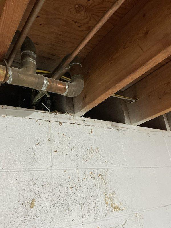 Responded to water leak complaint beneath bathtub. Upon inspection, identified deteriorated supply piping in crawl space requiring replacement along with a faulty shut-off valve. Documented existing conditions including aging plumbing fixtures, visible water staining on bathroom faucet assembly, and compromised piping connections in basement area beneath tub location. Assessed PVC drainage system and supply line configuration mounted to floor joists. Recommended complete replacement of leaking pipe section and installation of new shut-off valve to restore proper water control and eliminate active leak.