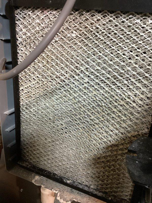 Completed MVP furnace maintenance on 2-year-old system. Performed comprehensive inspection of heating equipment, evaporator coil, and heat exchanger components, noting dust accumulation on coil fins and mesh surfaces. Discussed MVP renewal options with customer as requested.