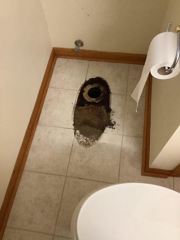 Replaced existing shower valve with Moen Eva T2133 trim kit, ensuring proper water flow and temperature control. Installed American Standard Champion one-piece toilet, including setting new wax ring, securing flange connection, and verifying proper seal and flush operation.