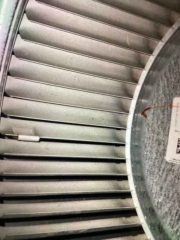 Completed recurring maintenance visit on heating system. Performed thorough inspection of blower assembly, observing accumulated dust and debris on squirrel cage fan blades. Conducted electrical diagnostics on control board using digital multimeter to verify proper voltage readings and system operation across all circuits and connections.