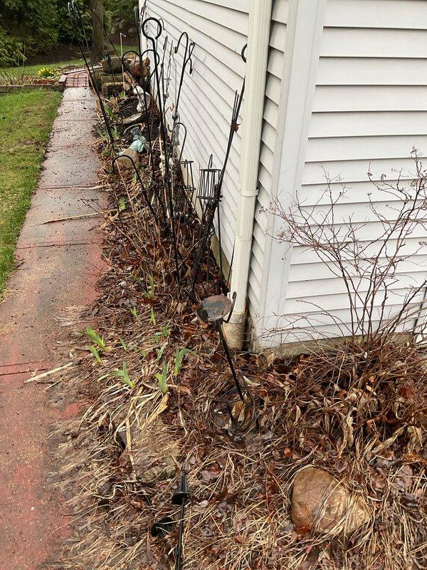 Responded to service call for garage floor drain backup occurring during rainfall, which began after recent gutter replacement. Upon arrival, inspected the exterior drainage system and identified that the new gutter downspout discharge was improperly directed, causing excessive water volume to overwhelm the garage floor drain during steady rain events. Traced the drainage line from the affected garage drain and confirmed the connection point where surface water was entering the system. Cleared debris and organic material from the exterior drain inlet area near the foundation. Assessed the gutter downspout positioning and determined that water was being directed toward the garage drain inlet rather than away from the foundation. Recommended redirecting downspout discharge to prevent future backup issues and ensure proper surface water management away from the drain system.