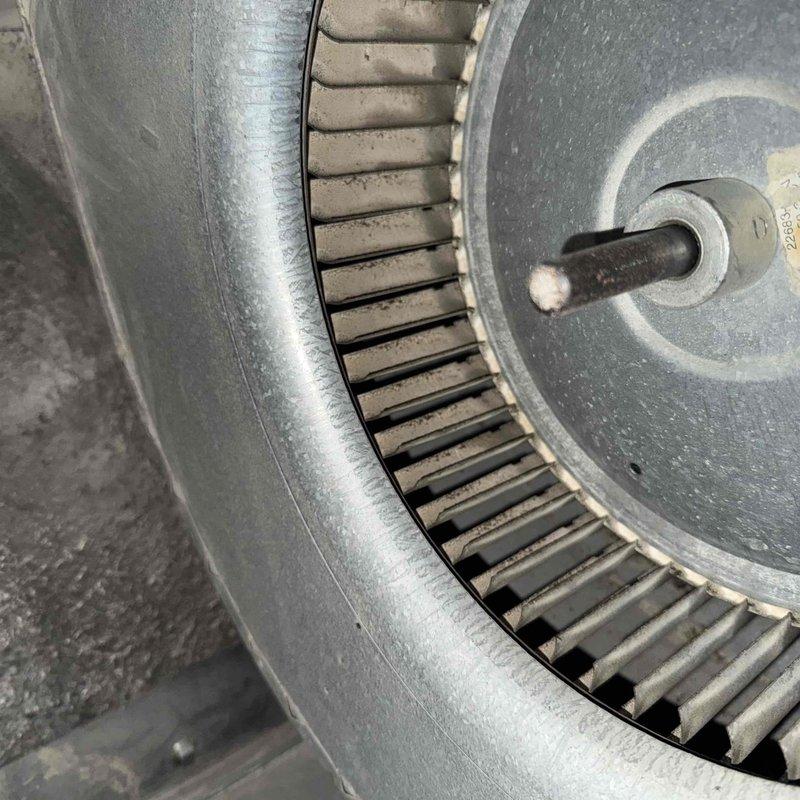 Completed comprehensive tune-up on 15+ year old furnace system. Performed thorough inspection of internal components including control board with operational LED indicators, electrical connections, blower motor assembly, and squirrel cage blower wheel. Assessed wiring harnesses and connections throughout the unit, noting all components secured properly with zip ties. Blower wheel showed typical dust accumulation consistent with system age; all mechanical and electrical components found operational during inspection.