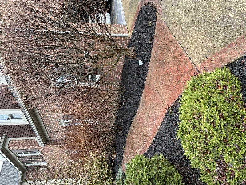 Responded to service call for non-functioning landscape lighting system. Performed troubleshooting on existing landscape lights and tested with new transformer, but was unable to restore power to any of the fixtures. Determined that the landscape lighting circuit requires extensive repair or replacement. Scheduled follow-up visit for spring season to provide detailed quote for complete rewiring and reinstallation of landscape lighting system.