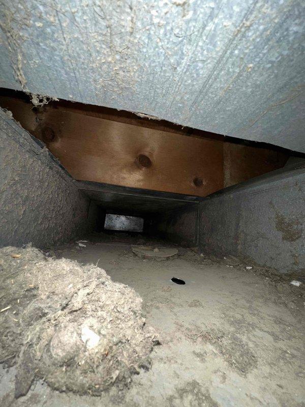 Completed comprehensive duct cleaning service for residential HVAC system with unknown vent count. Accessed crawl space beneath structure to inspect and clean ductwork, encountering significant dust and debris accumulation throughout the system. Addressed deteriorated blue-tinted insulation material in duct ceiling area with exposed wooden support beams, documented existing damage and separation of insulation components. Removed heavy buildup of dust and debris from duct floors and surfaces to restore proper airflow and system efficiency.