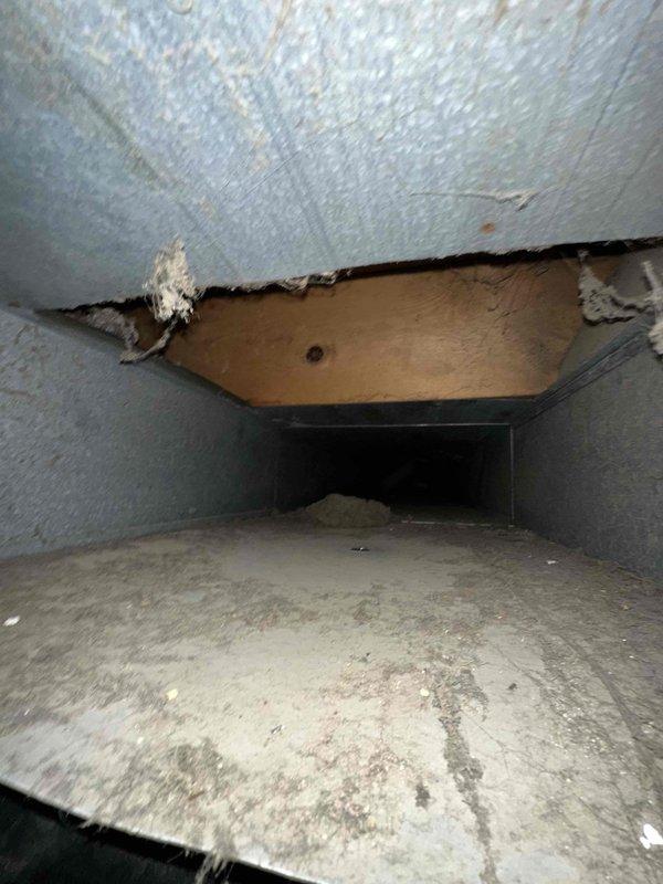 Completed comprehensive duct cleaning service for residential HVAC system with unknown vent count. Accessed crawl space beneath structure to inspect and clean ductwork, encountering significant dust and debris accumulation throughout the system. Addressed deteriorated blue-tinted insulation material in duct ceiling area with exposed wooden support beams, documented existing damage and separation of insulation components. Removed heavy buildup of dust and debris from duct floors and surfaces to restore proper airflow and system efficiency.