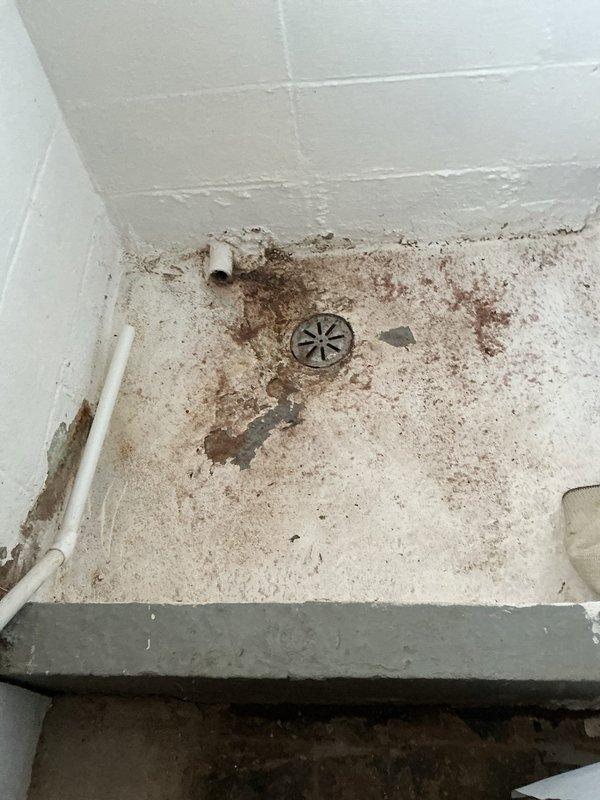 Responded to drainage backup issue affecting washing machine discharge and shower drain. Upon inspection, found shower drain with significant buildup and staining indicating chronic drainage problems and potential shared drain line obstruction between laundry and bathroom fixtures. Assessed plumbing configuration and documented existing conditions showing deteriorated floor surfaces and drainage components requiring attention.